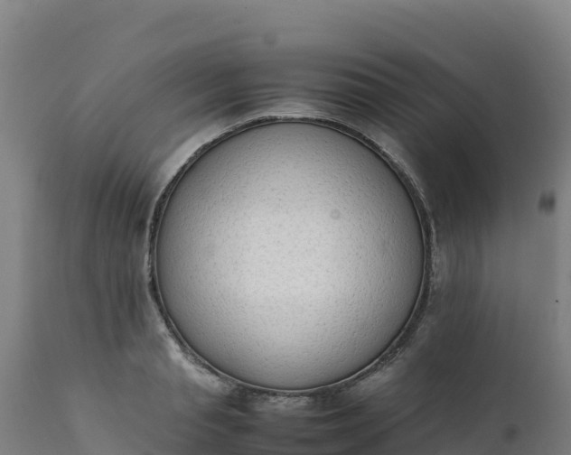 X0000112410845200908281812