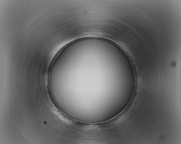 X0000112410846200908281812