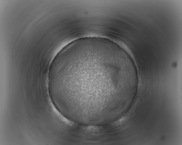 X0000112410847200908281812