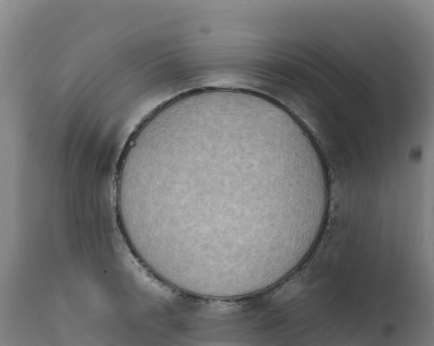 X0000112410848200908281812