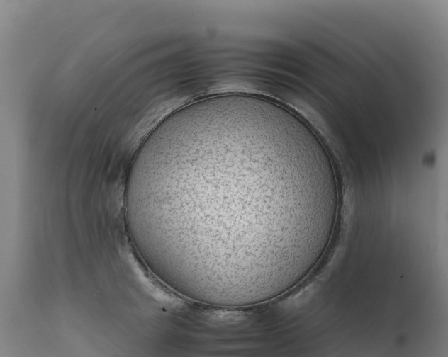 X0000112410849200908281812