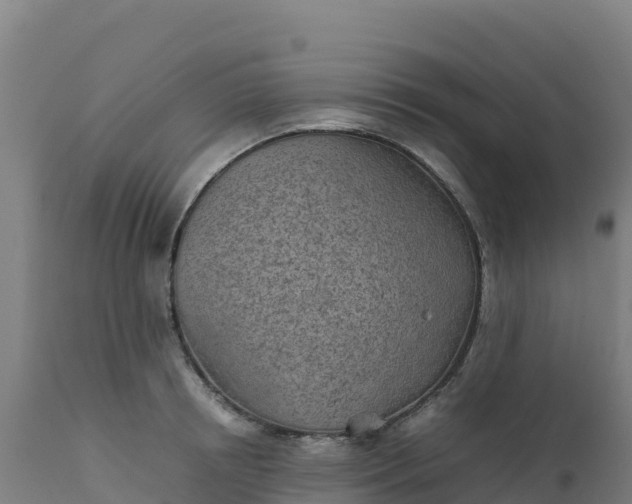 X0000112410850200908281812