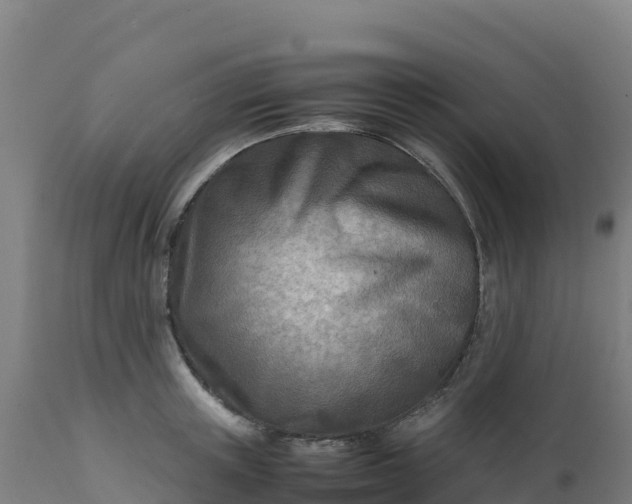 X0000112410851200908281812