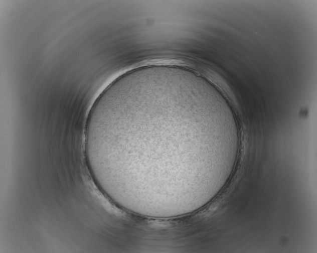 X0000112410852200908281812