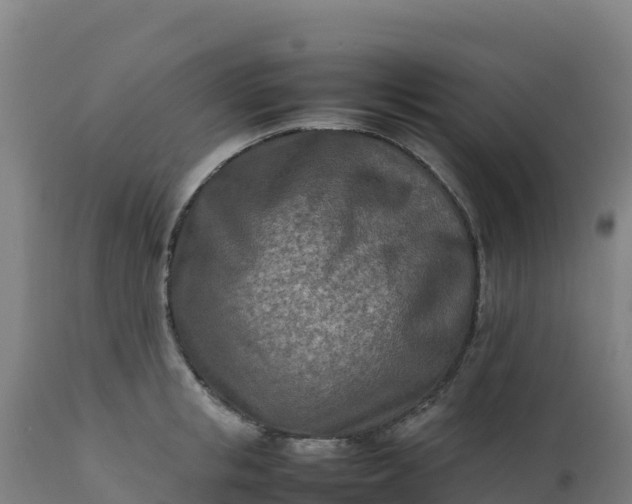 X0000112410853200908281812