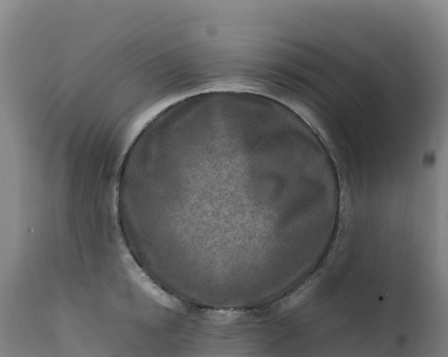 X0000112410854200908281812