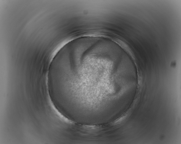 X0000112410855200908281812