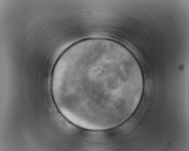 X0000112410856200908281812