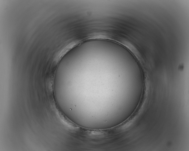 X0000112410857200908281812