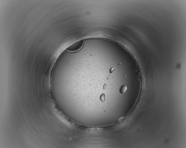 X0000112410858200908281812