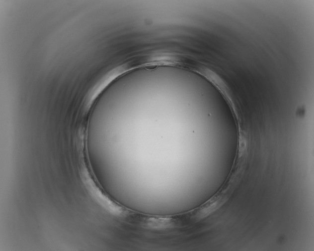 X0000112410859200908281812