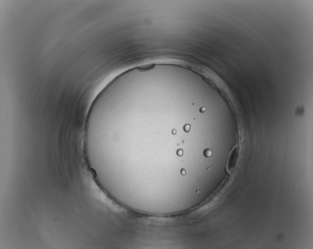 X0000112410860200908281812