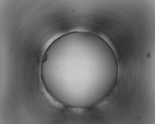 X0000112410861200908281812