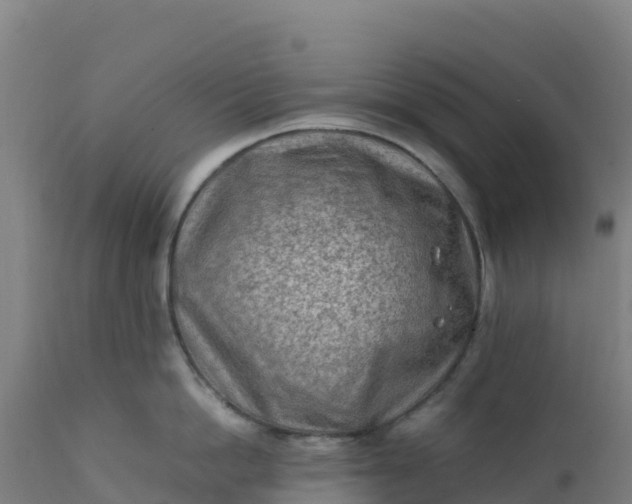 X0000112410862200908281812