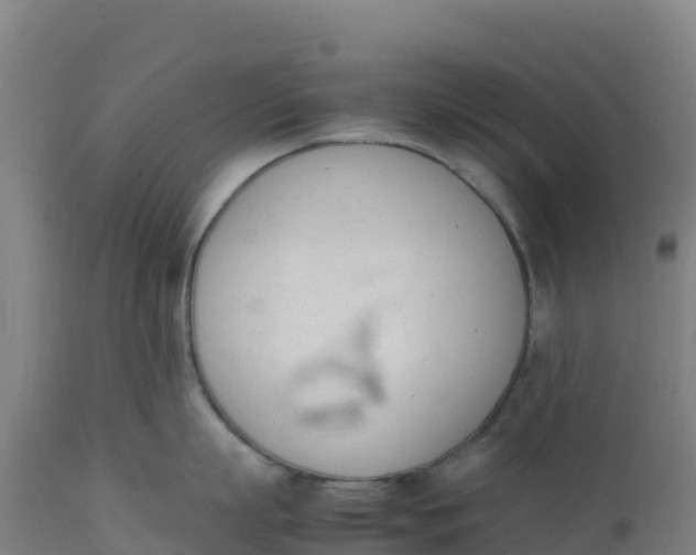 X0000112410863200908281812