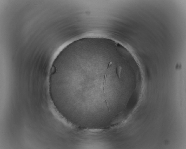 X0000112410864200908281812