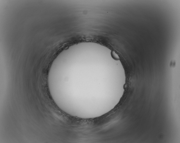 X0000112410865200908281812