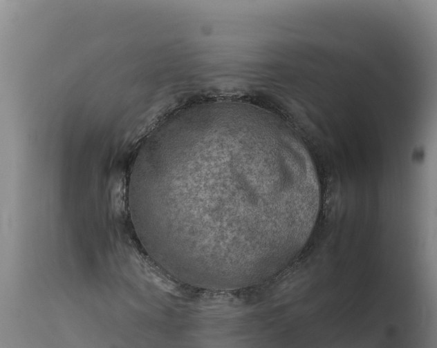 X0000112410866200908281812