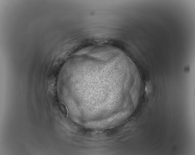 X0000112410867200908281811