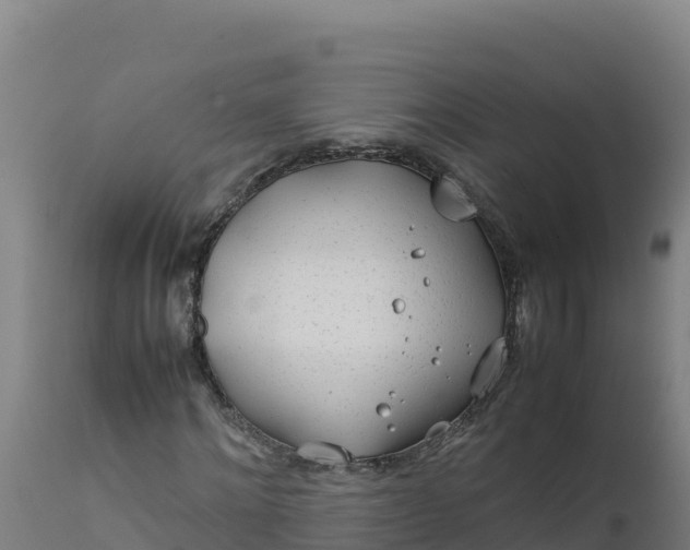 X0000112410868200908281811