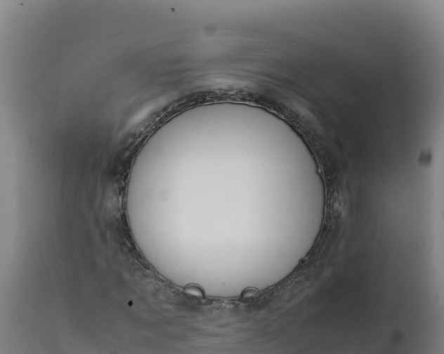 X0000112410869200908281811