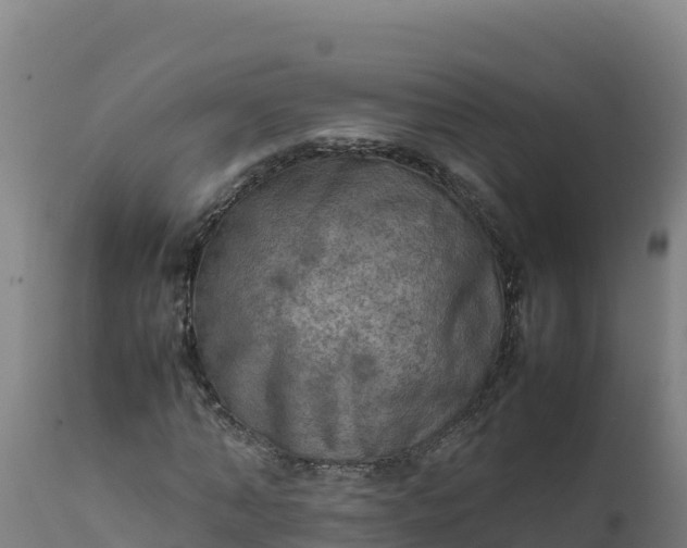 X0000112410870200908281811