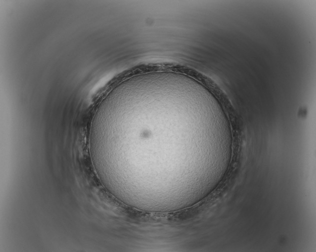 X0000112410871200908281811