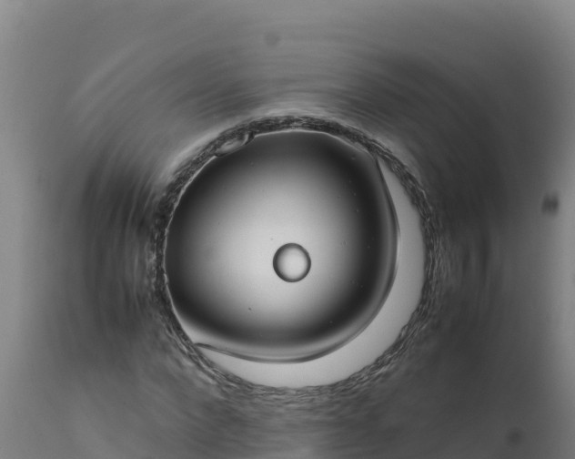 X0000112410872200908281811