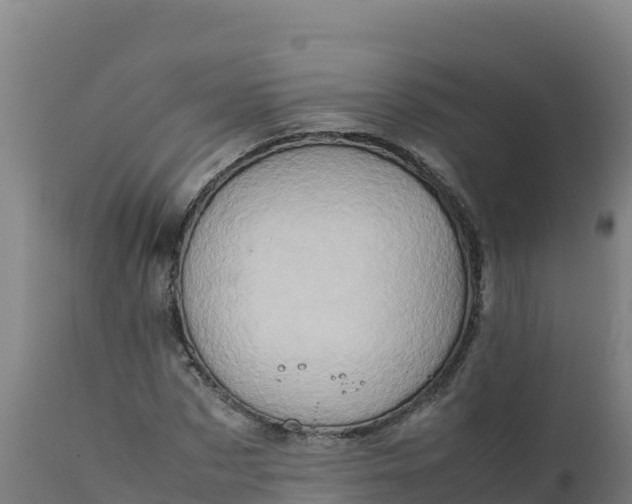 X0000112410873200908281811