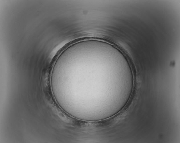 X0000112410875200908281811