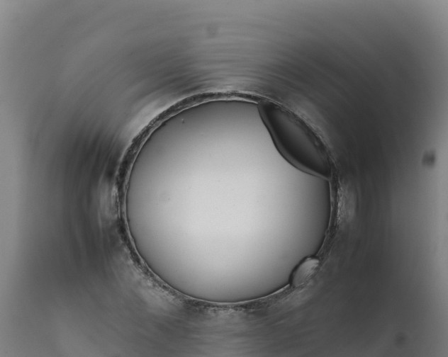 X0000112410876200908281811