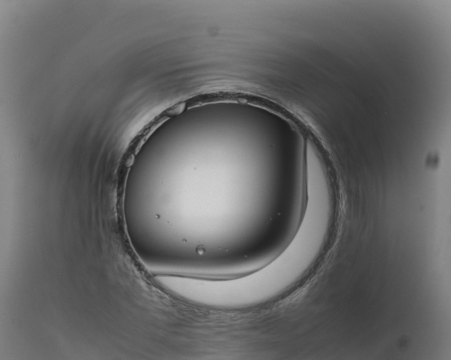 X0000112410877200908281811