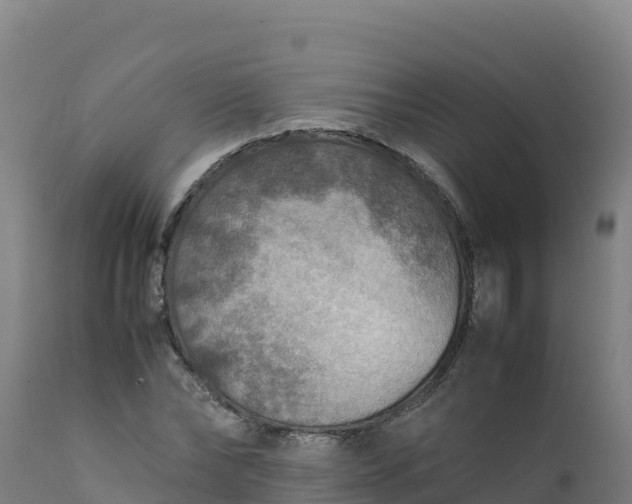 X0000112410878200908281811