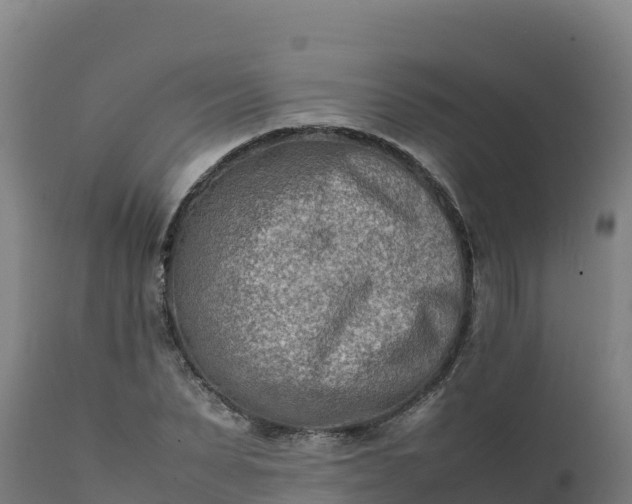 X0000112410879200908281811