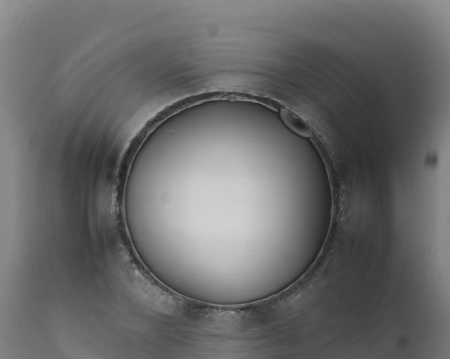 X0000112410880200908281811