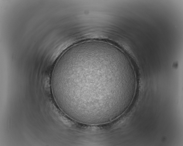 X0000112410881200908281811