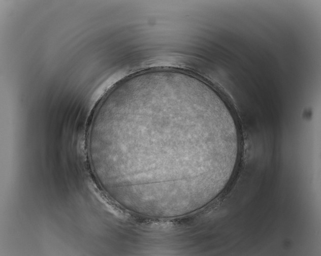 X0000112410882200908281811