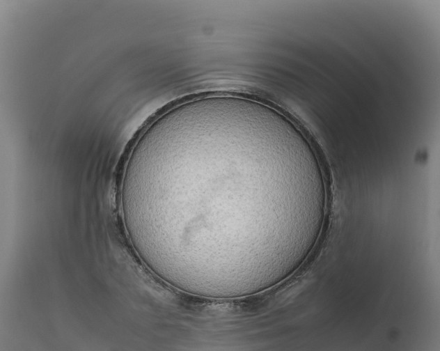 X0000112410883200908281811