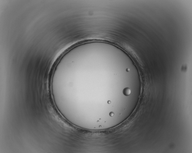 X0000112410884200908281811