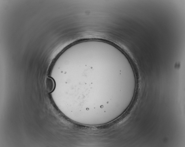 X0000112410885200908281811