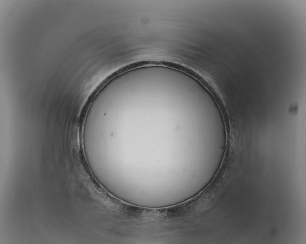 X0000112410887200908281811