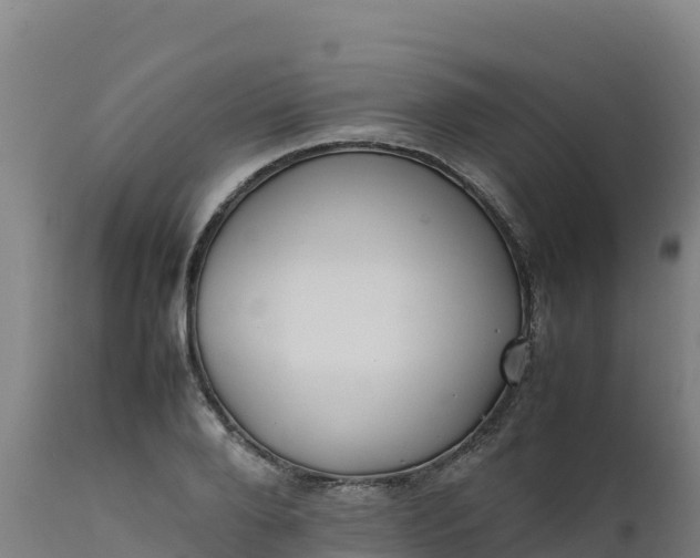 X0000112410888200908281811