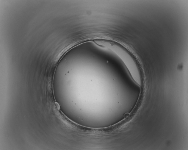 X0000112410889200908281811