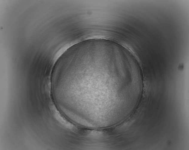 X0000112410890200908281811