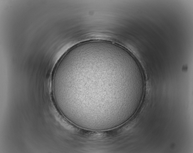 X0000112410891200908281811