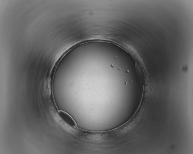 X0000112410892200908281811