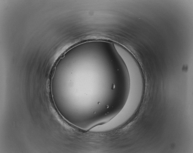 X0000112410893200908281811