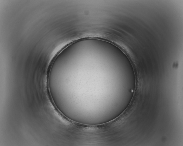 X0000112410894200908281811