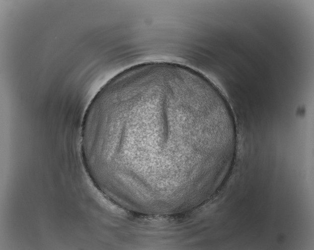 X0000112410895200908281811