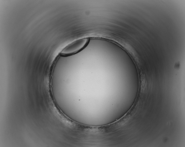 X0000112410896200908281811